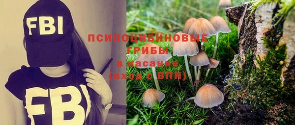 ГАЛЛЮЦИНОГЕННЫЕ ГРИБЫ Семилуки