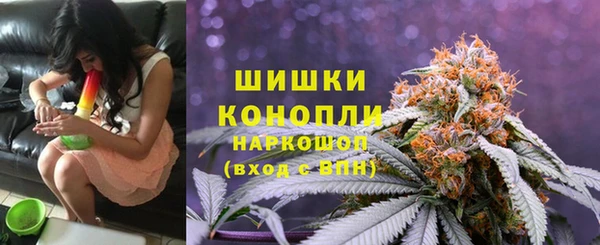 метадон Сафоново