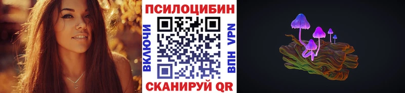 купить  сайты  Туапсе  Псилоцибиновые грибы Psilocybine cubensis 