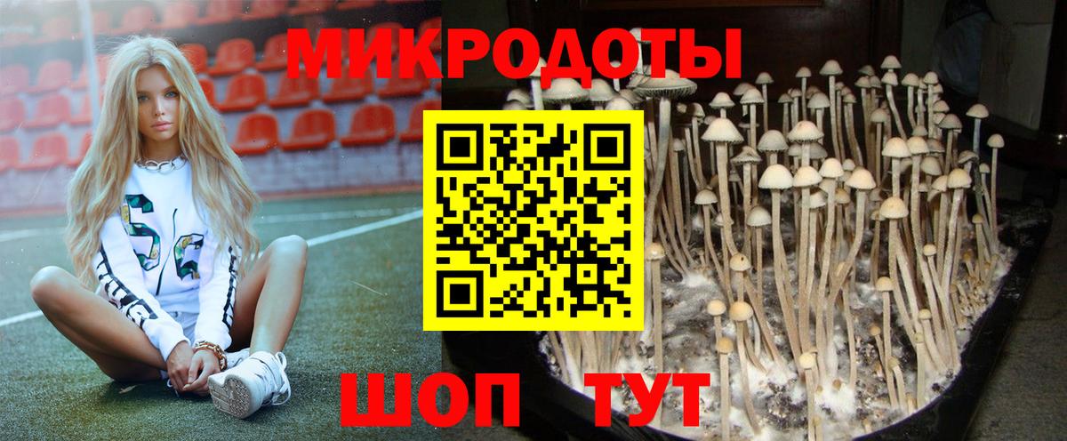 Туапсе  Галлюциногенные грибы GOLDEN TEACHER  Вход с VPN  Псилоцибиновые грибы Psilocybe 